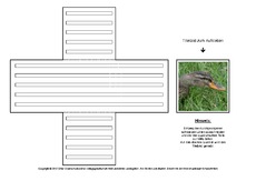 Lapbook-Minibuch-Faltform-Stockente-B-1-5.pdf